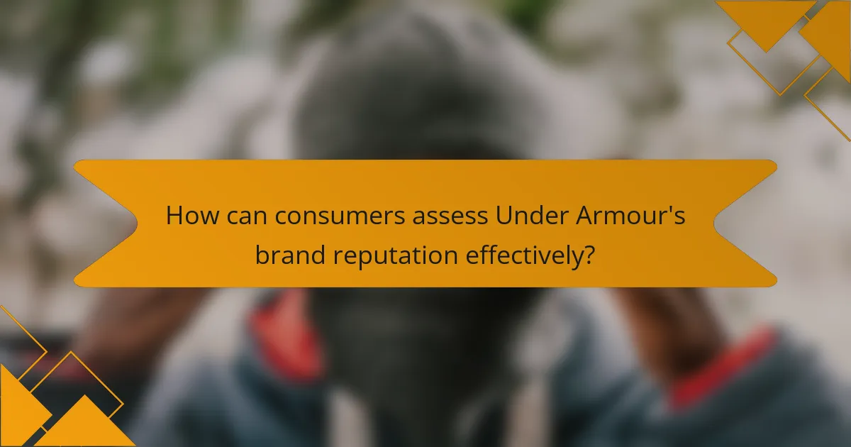 How can consumers assess Under Armour's brand reputation effectively?
