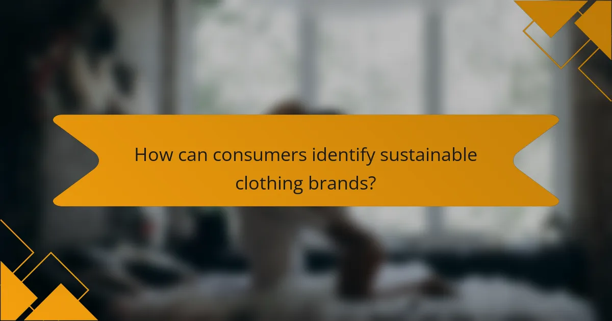 How can consumers identify sustainable clothing brands?