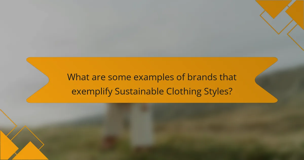 What are some examples of brands that exemplify Sustainable Clothing Styles?