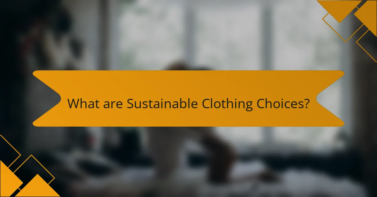What are Sustainable Clothing Choices?