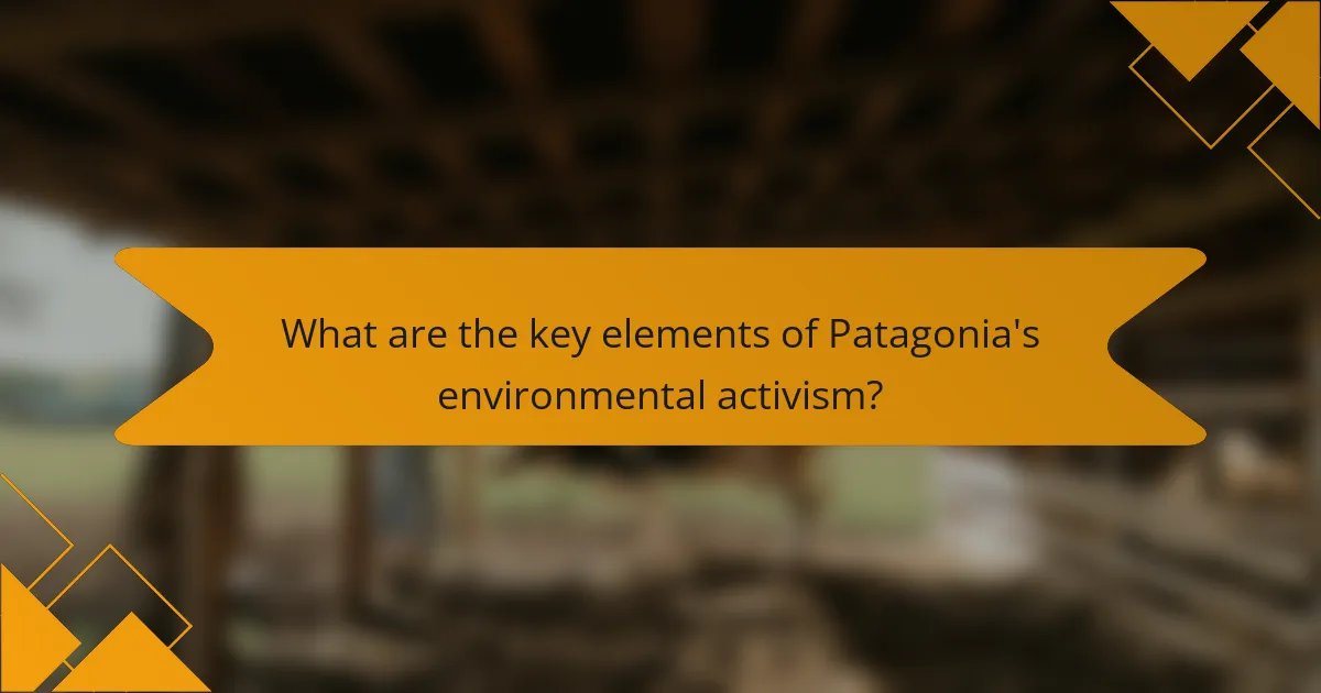 What are the key elements of Patagonia's environmental activism?