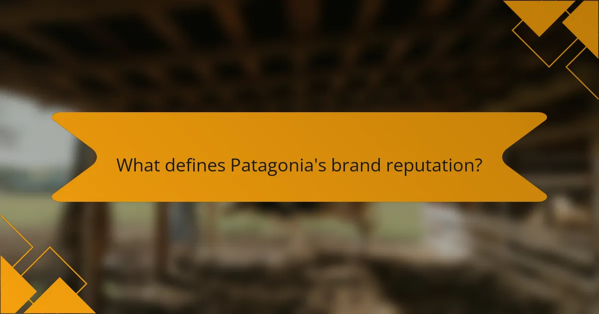 What defines Patagonia's brand reputation?