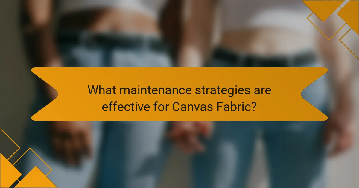 What maintenance strategies are effective for Canvas Fabric?