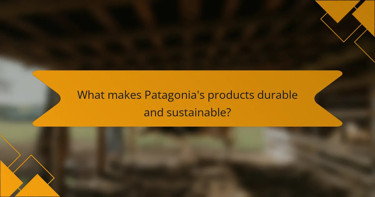 What makes Patagonia's products durable and sustainable?